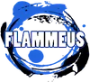 Logo van Verkeersschool Flammeus