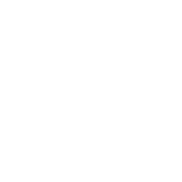 Logo Bintel