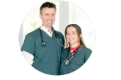 Logo van Niessen Forcada Institute - Veterinary Specialist Consultations