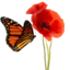 Logo van Praktijk voor Persoonlijke Groei