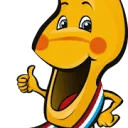 Logo van Stichting Klompenfeest Twello