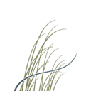 Logo van Duinweide Investeringen NV