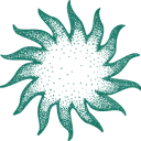 Logo Pura Vida Foodbar