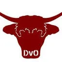 Logo van DvO Engineering