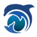 Logo van DolphinSolutions BV