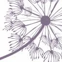 Logo Bloeise