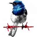 Logo van Redwire Media