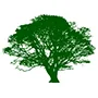 Logo van An de Stekke Neurodiversiteit Coaching