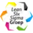 Logo van Lean Six Sigma Groep