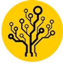 Logo van inSystem.io - Advanced sorting systems