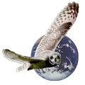 Logo van New Way Learning Services