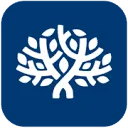Logo van Native Consulting