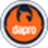 Logo Dapro Safety