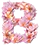 Logo van Bloom Fashion