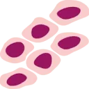 Logo van European Lobular Breast Cancer Consortium ELBCC