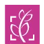 Logo van Van der Velden Onderwijsadvies