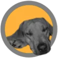 Logo van ZitzakkenStore.nl