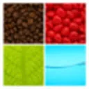 Logo van Meesterschap-koffie