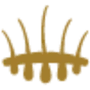 Logo Hair Science Clinic