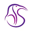 Logo IBIS Management • Latin America