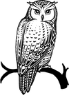 Logo van MaS Montagne
