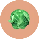 Logo van SPROUT PUBLISH