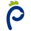 Logo van PoultryPlus rearing company