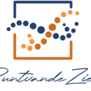 Logo Puntvandeziel ScanCoaching® & Acupunctuur