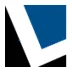 Logo van LomaxSystems BV