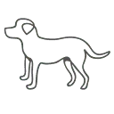 Logo van Coachpraktijk Bo Vertelt