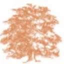 Logo van Erfgoed Rikkerda