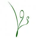 Logo van Sociocratische Leeromgeving LOS Deurne
