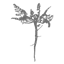 Logo van Wilde Wortels