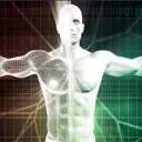 Logo Bodyhacker Network