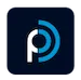 Logo van Perfect Drive