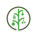 Logo van H2020 VIDA