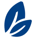 Logo van Vidanova Bank