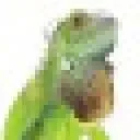 Logo van Reptiles Twente