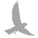 Logo van Emcuview Solutions