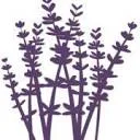 Logo van Schoonheidssalon Lavendel