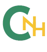 Logo NH CONSULTANCY