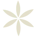Logo Zielskracht Begeleiding