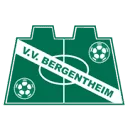 Logo van v.v. Bergentheim