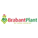 Logo van Brabant Plant B.V.