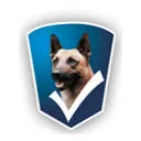 Logo Gool Security