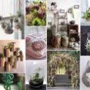 Logo van Sue's Botanica