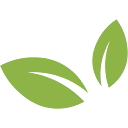 Logo Stichting Flevion
