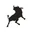 Logo van Lois Jeans