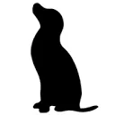 Logo van van Schot AND Mane