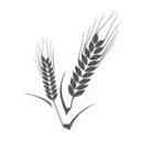 Logo van Foodactief
